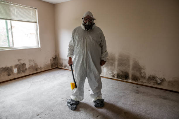 Best Mold Damage Repair  in Lorain, OH